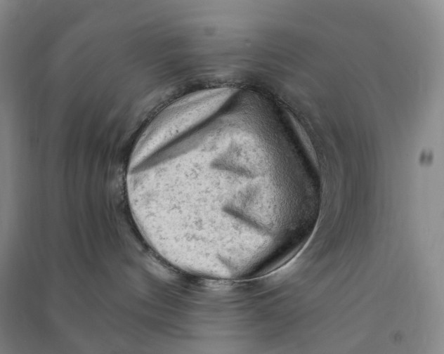 X0000090890144200708171713