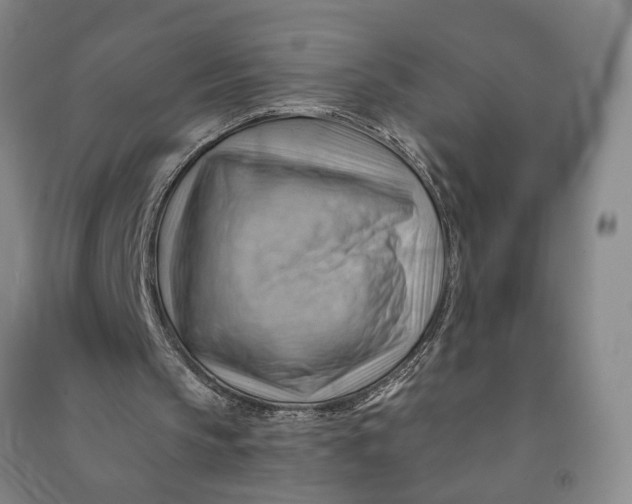 X0000090890145200708171712