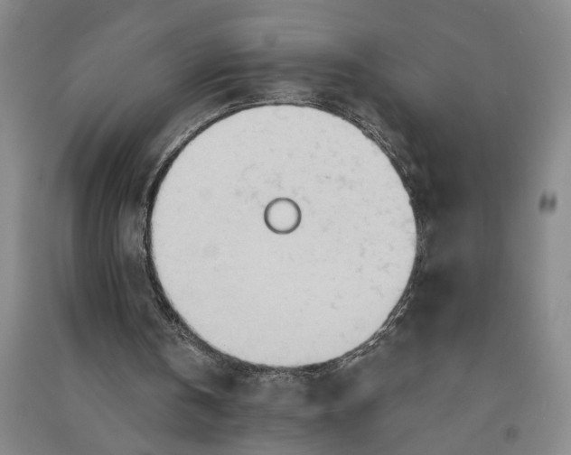 X0000090890146200708171713