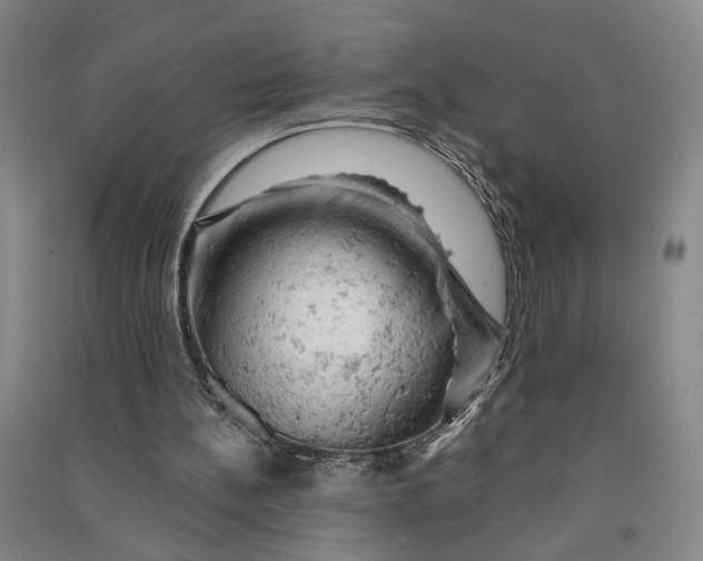 X0000090890148200708171713