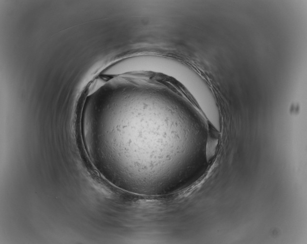 X0000090890150200708171713