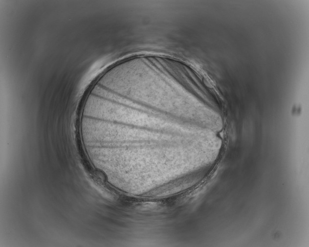 X0000090890151200708171713