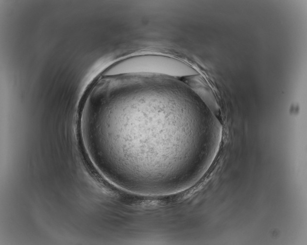 X0000090890152200708171713