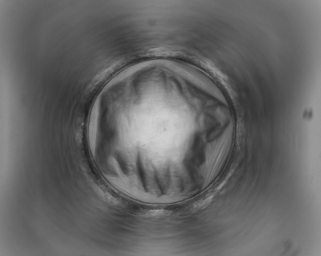 X0000090890153200708171713