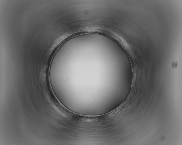 X0000090890155200708171713