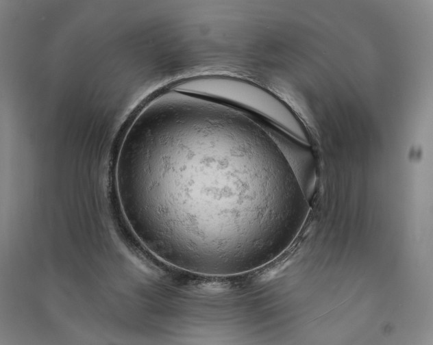 X0000090890156200708171713