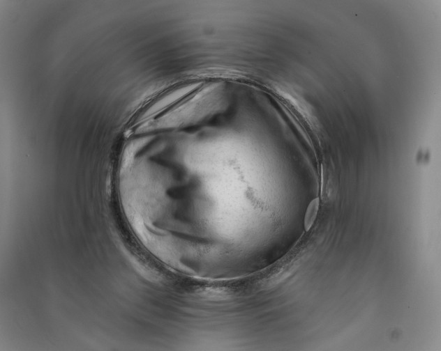 X0000090890157200708171713