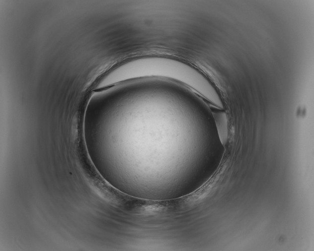 X0000090890158200708171713