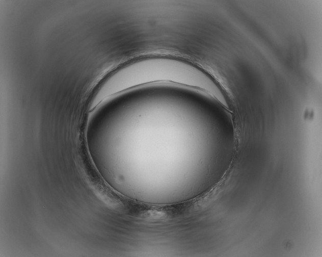 X0000090890159200708171713