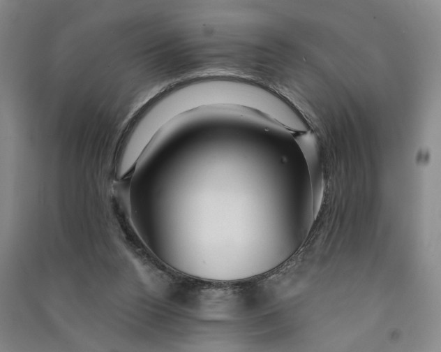 X0000090890160200708171713