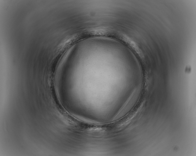 X0000090890161200708171713