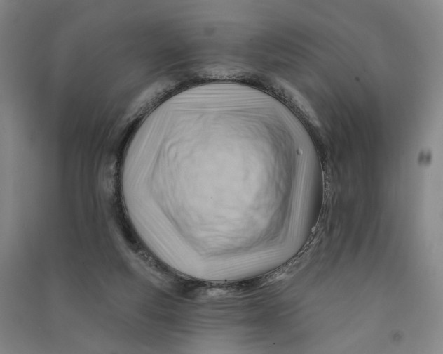 X0000090890163200708171713