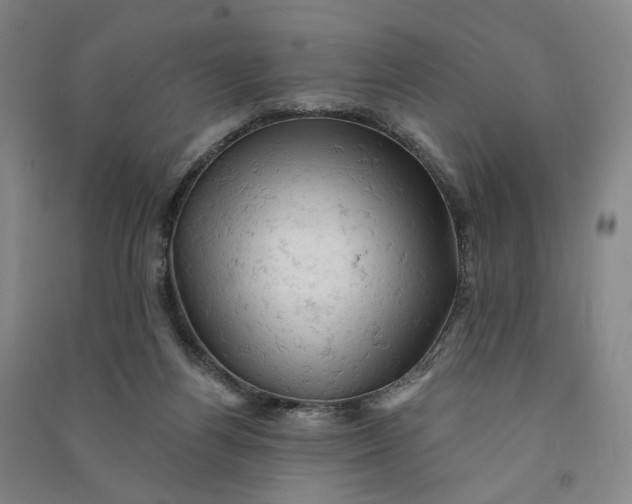 X0000090890164200708171713