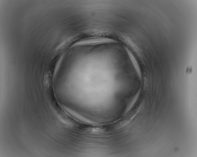 X0000090890165200708171713