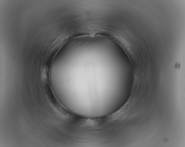 X0000090890166200708171713