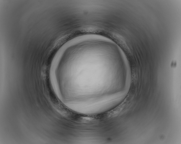 X0000090890167200708171713