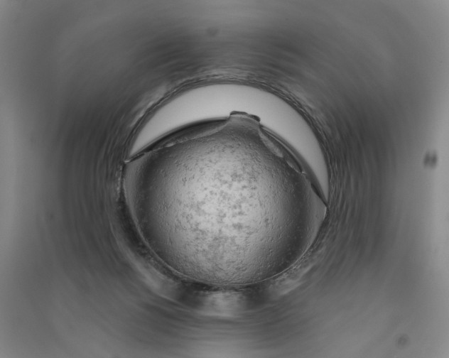 X0000090890168200708171713