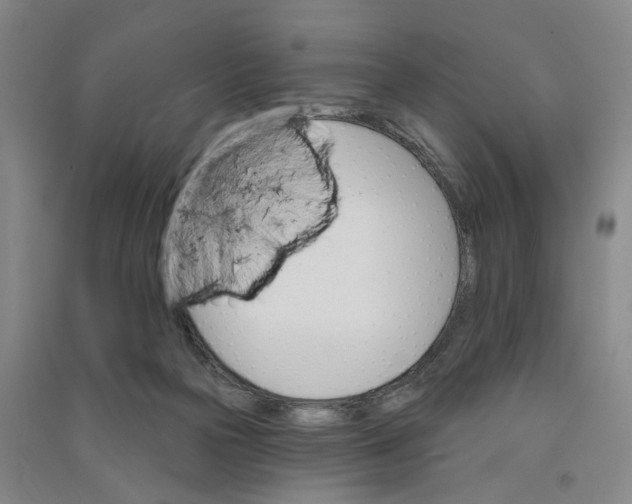 X0000090890169200708171713