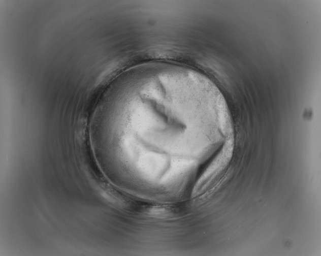 X0000090890171200708171713