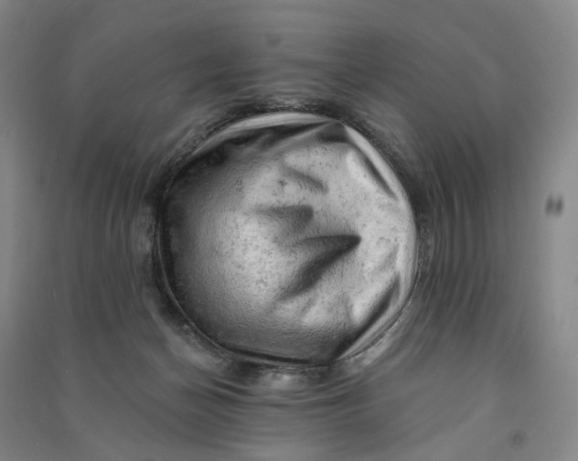 X0000090890174200708171713