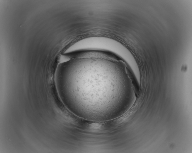 X0000090890176200708171713