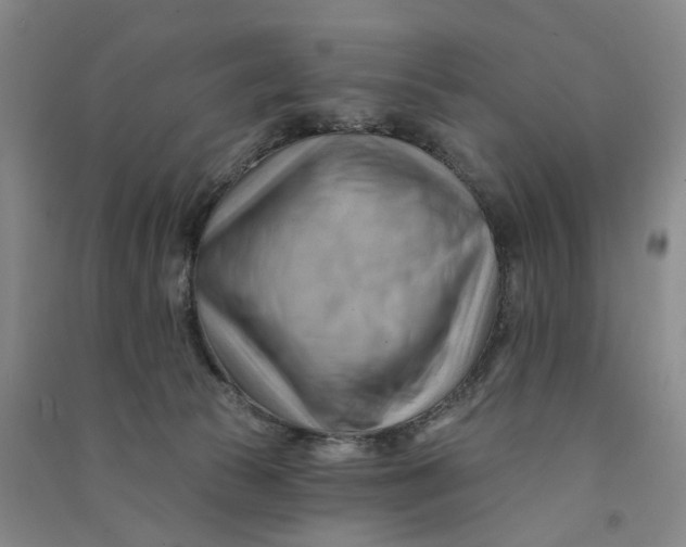 X0000090890177200708171713