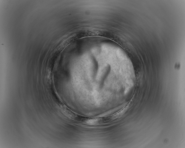 X0000090890178200708171713