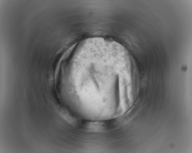 X0000090890179200708171713