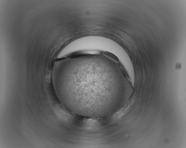 X0000090890180200708171713