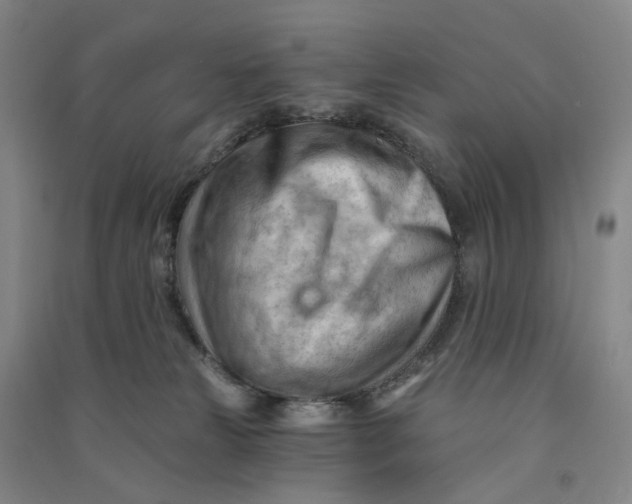 X0000090890181200708171713