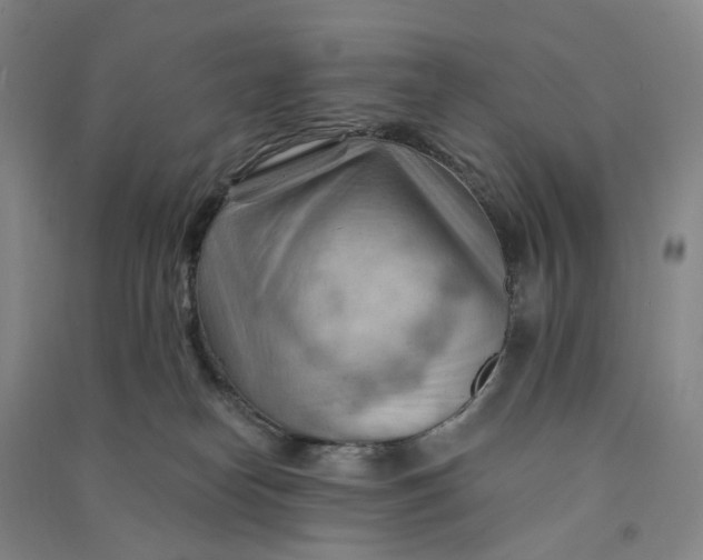 X0000090890182200708171713