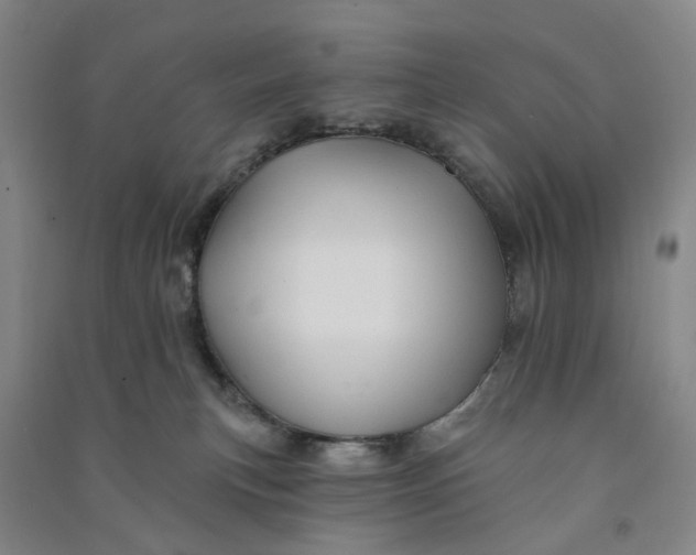 X0000090890183200708171713