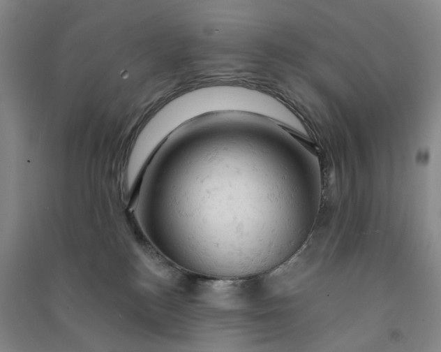 X0000090890184200708171713