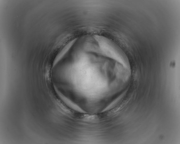 X0000090890185200708171713