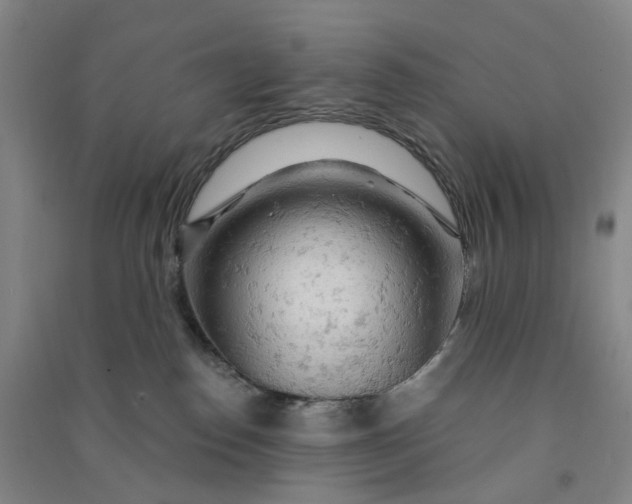 X0000090890186200708171713