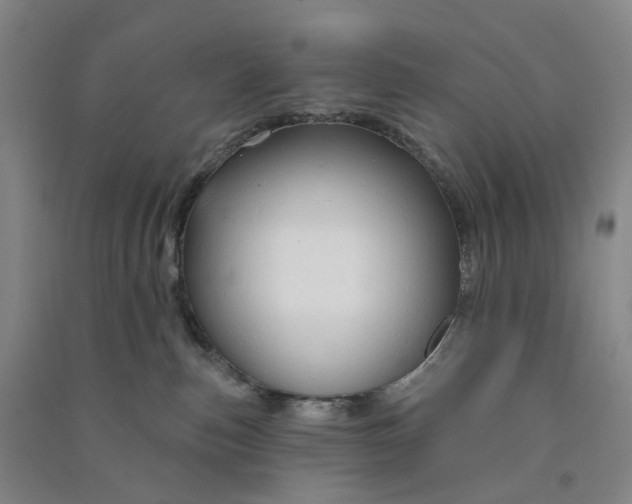 X0000090890187200708171713