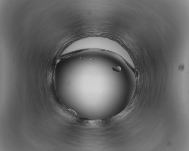 X0000090890188200708171713