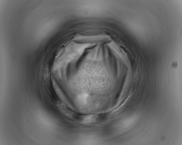 X0000090890191200708171713