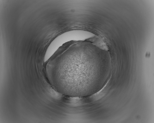 X0000090890192200708171713