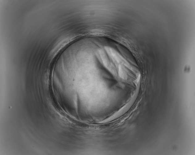 X0000090890194200708171712