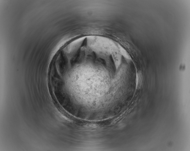 X0000090890195200708171712