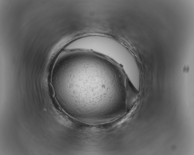 X0000090890197200708171712