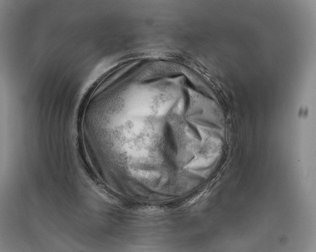 X0000090890198200708171712