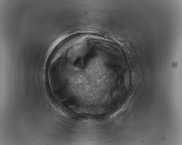 X0000090890200200708171712