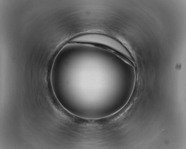 X0000090890201200708171712