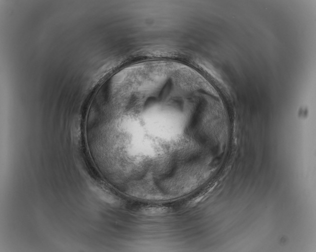 X0000090890202200708171712