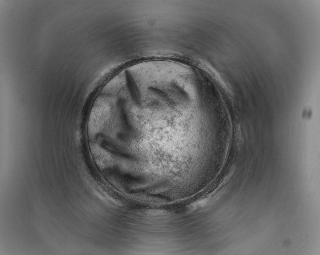 X0000090890203200708171712