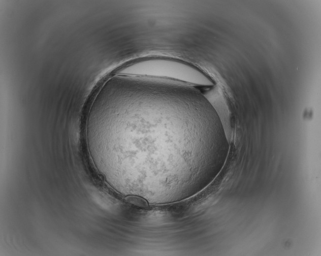 X0000090890204200708171712