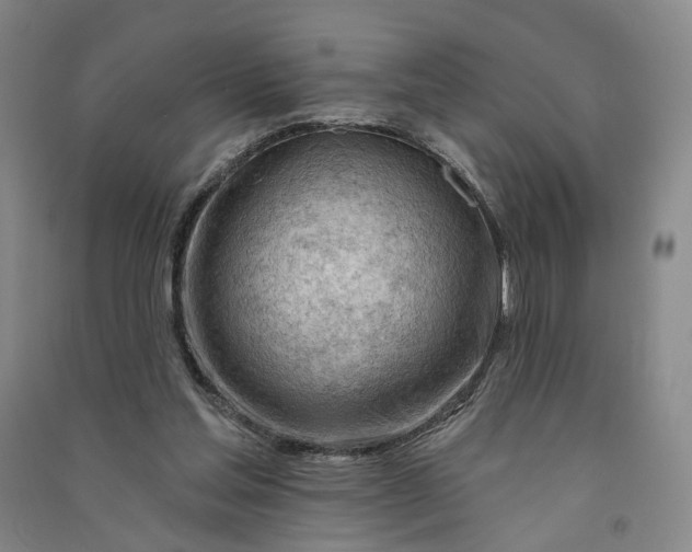 X0000090890205200708171712