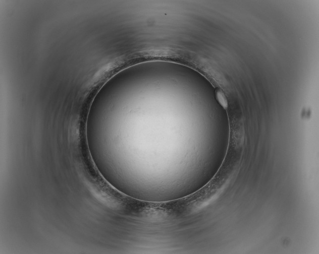 X0000090890207200708171712